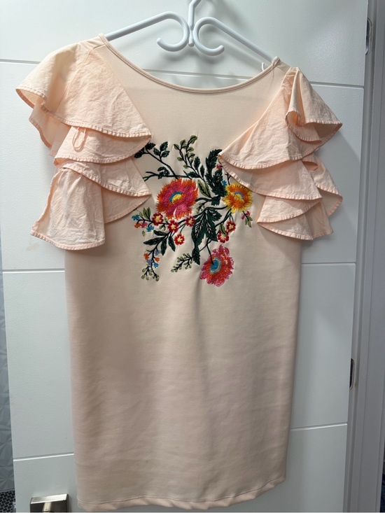 Zara Tops - Zara Blush Pink Ruffle Sleeve Tunic with Floral Embroidery